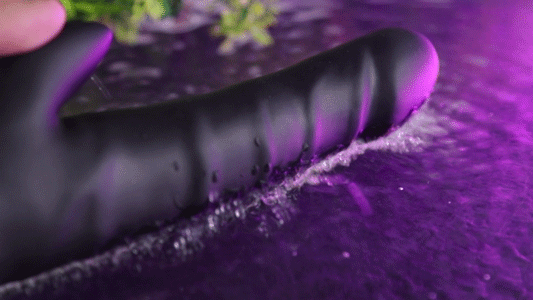 Dương vật giả CalExotics Black Velvet Clit Arouser rung đa tần số Dương vật giả CalExotics Black Velvet Clit Arouser rung đa tần số