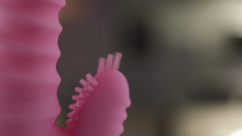 Đại lý Máy rung cho nữ NPG Nhật Bản thiết kế gân nổi massage âm đạo có tốt không?