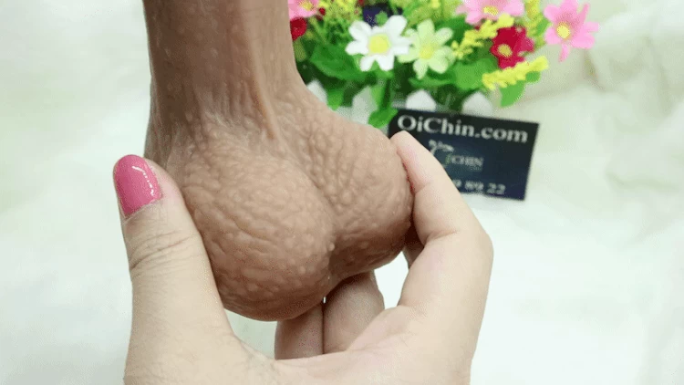 Dương Vật Giả SEXTOYS Gắn Tường Chuẩn Size Châu Á Chân Thực