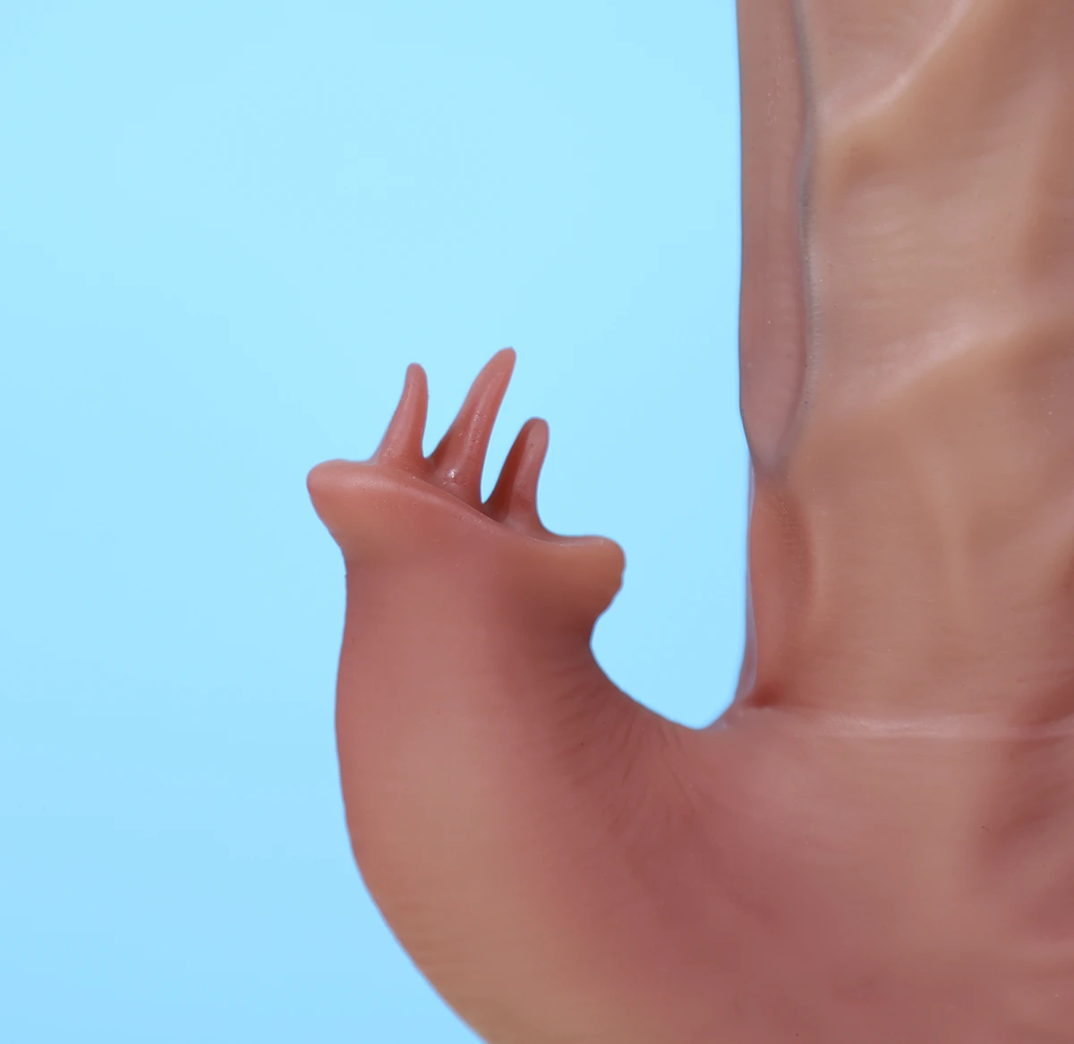 YEAIN Tarzan 3 Dildo rung thụt tỏa nhiệt điều khiển từ xa cao cấp