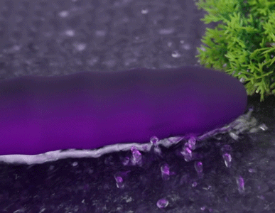 Fifty Shades Freed Deep Inside - Máy rung 10 chế độ, kích thích mạnh