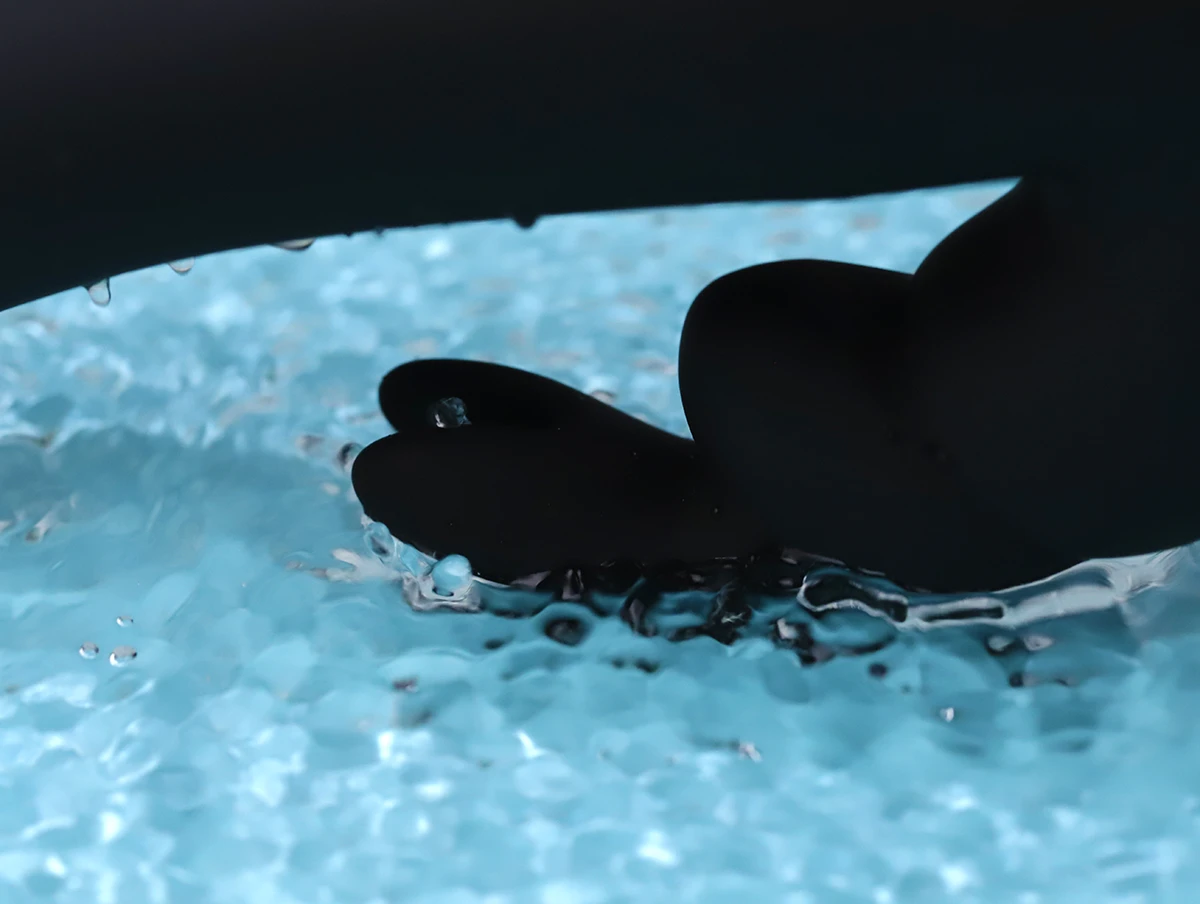 Máy rung tai thỏ G Spot Rabbit 50 sắc thái Greedy Girl kích thích