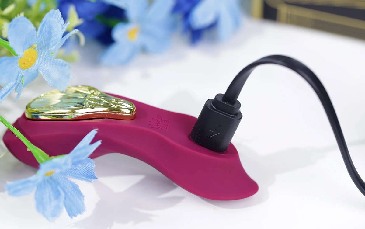 Máy rung quần chip Zalo Aya kết nối App 8 tần số siêu đã