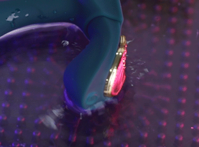 Máy rung quần chip Zalo Aya kết nối App 8 tần số siêu đã