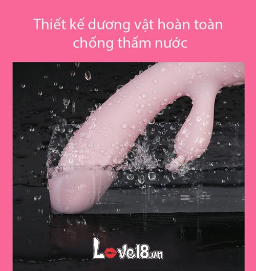 Dương vật giả đa năng Leten Faye tại sài gòn