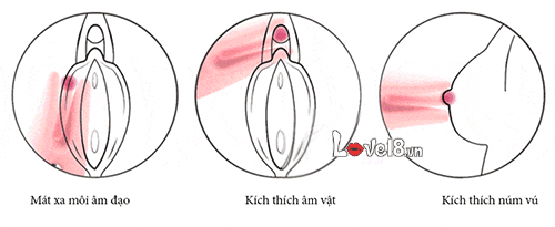 Svakom Nipple & G-Spot Vibrator - Powerful Pleasure, Silent & Rechargeable