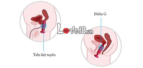 Máy mát xa hậu môn điểm G sưởi ấm Svakom Primo cao cấp