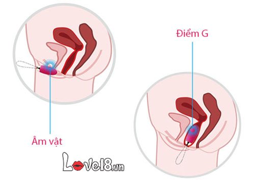Đồ chơi mát xa có rremote Svakom Elva DC89E cách kích thích vùng kín.