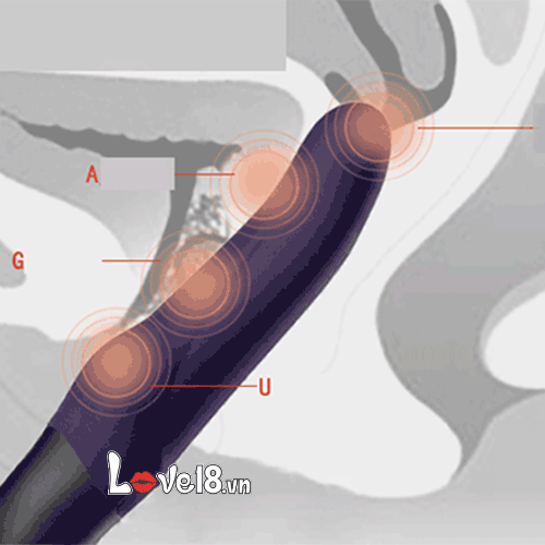 Mua Dương Vật Giả Cao Cấp Rung Giật Thụt Fun Pulsador Giá Tốt