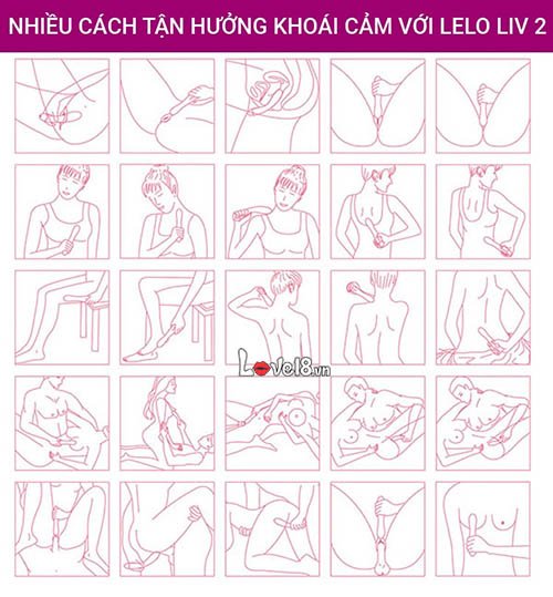 Máy massage điểm G đẳng cấp Lelo Liv 2 DC42B tại hà nội