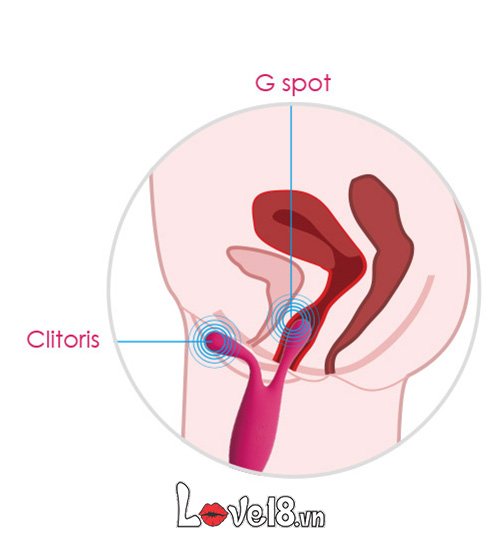 Dụng cụ kích thích điểm G Svakom Marin DC90X kích thích siêu sướng