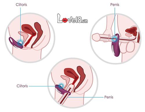  Nơi bán Vòng đeo dương vật cao cấp Svakom Winni tốt nhất