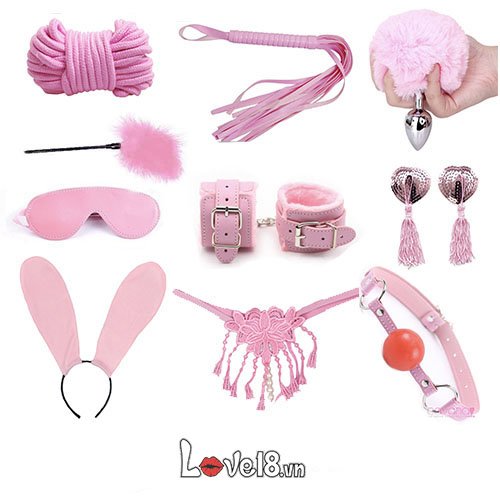 Bộ đồ chơi bạo dâm 10 món màu hồng cao cấp da PU kim loại 