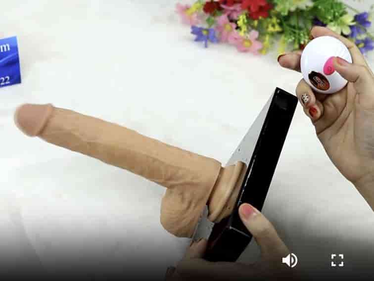 Buồi giả Nhật Bản YEAIN SHP1364 gắn tường siêu thực cao cấp