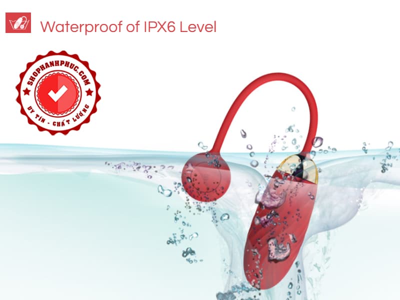 Trứng Rung Svakom Ella Cao Cấp Không Dây Siêu Hiện Đại Cho Nữ