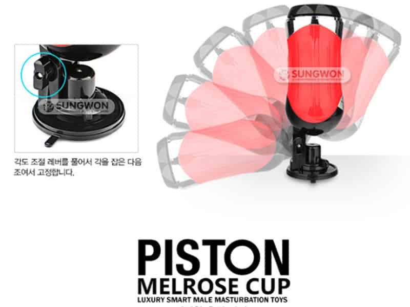Âm đạo giả Poston Go cao cấp trải nghiệm đỉnh cao Âm đạo giả Poston Go cao cấp trải nghiệm đỉnh cao