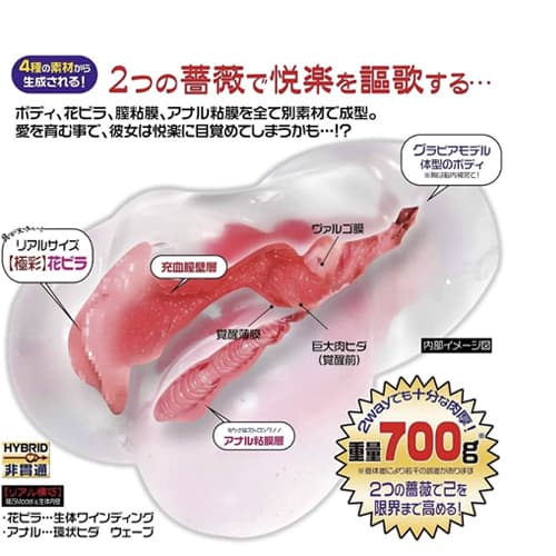 Búp Bê Tình Dục Nam Trong Suốt Nhật Bản Magic Eyes La vie en Rose