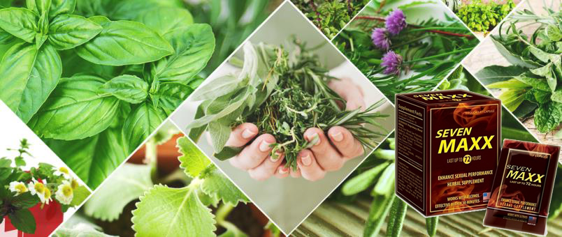 Viên uống thảo dược tăng cường sinh lý Seven Max USA chất lượng