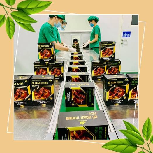 Thảo dược tăng sinh lực Bổ hoàng dương plus cải thiện sức khỏe