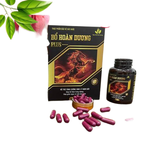  Bỏ sỉ Thảo dược tăng cường sinh lý nam Bổ hoàng dương plus  tốt nhất 