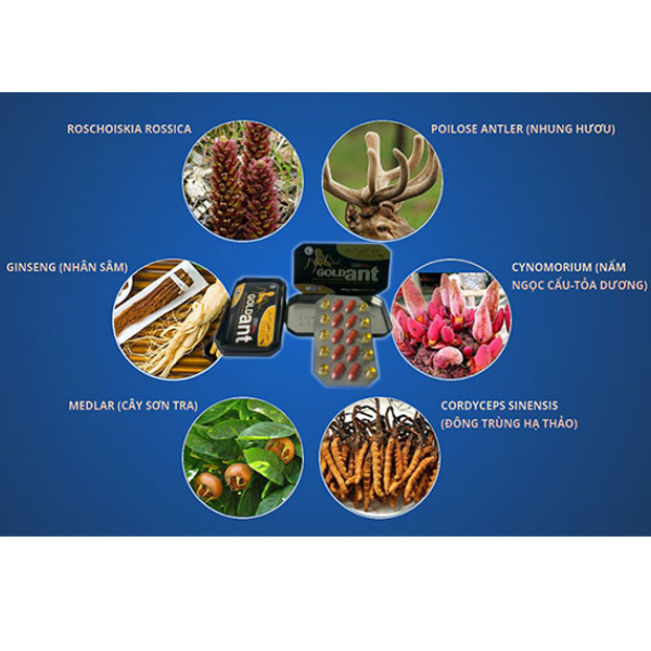 Thuốc cương dương kiến vàng 8800mg trị rối loạn sinh lý xuất tinh sớm