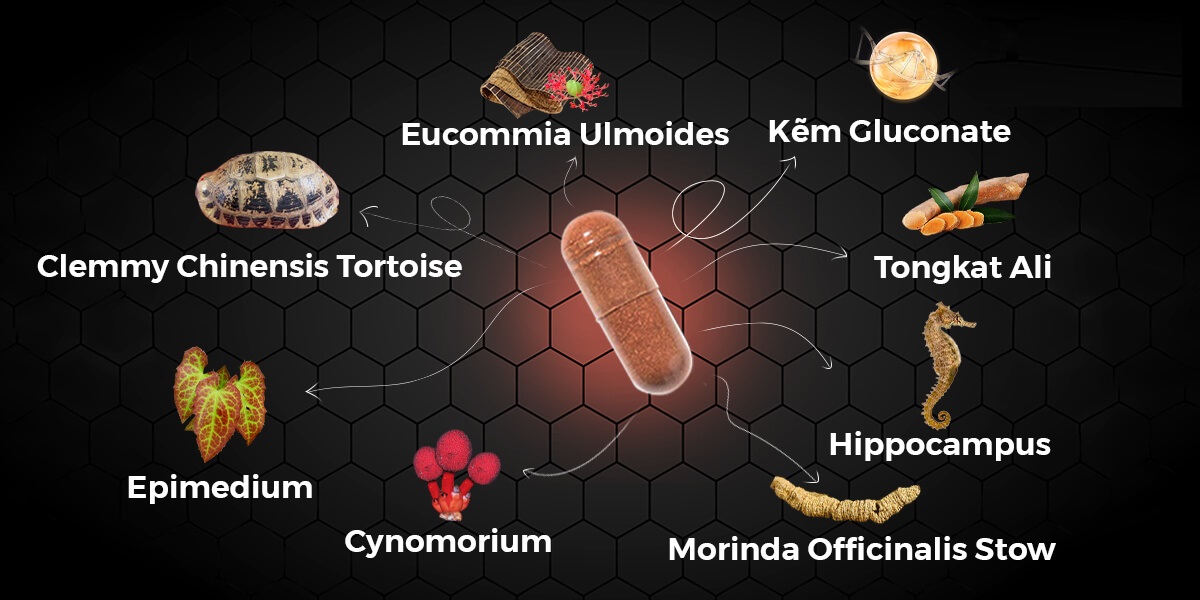 Powergra Supper Gold Magic viên uống kéo dài sức mạnh nam giới hiệu quả