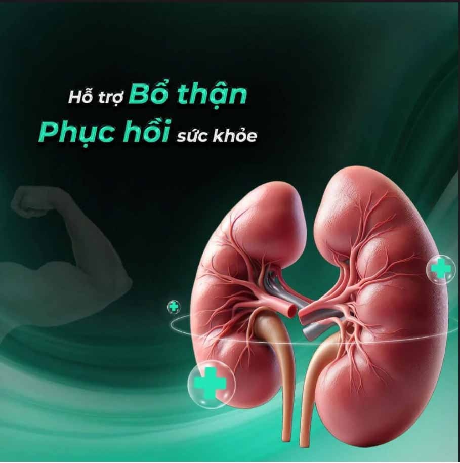 Kẹo bạc hà Powergra sảng khoái tăng lực tặng năng lượng