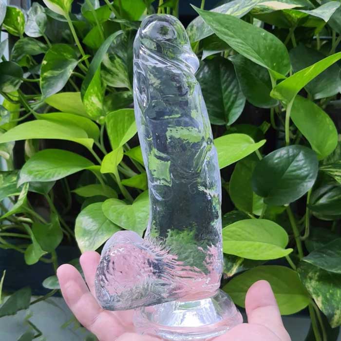 Transparent Wall-Mount Dildo Realistic Size No Vibration
