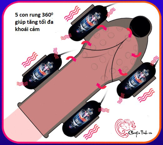 Sỉ Bao rung quy đầu massage kích thích dương vật 5 cục  mới nhất