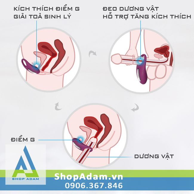 Vòng rung kích thích điểm G cao cấp Svakom Winni 26 kiểu rung tình yêu
