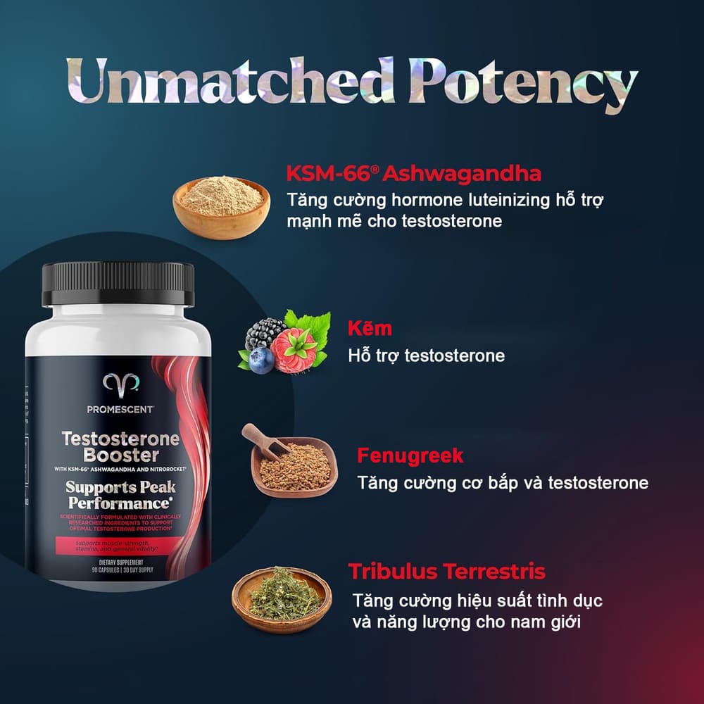 Viên uống Testosterone Booster Promescent tăng sinh lý nam hiệu quả