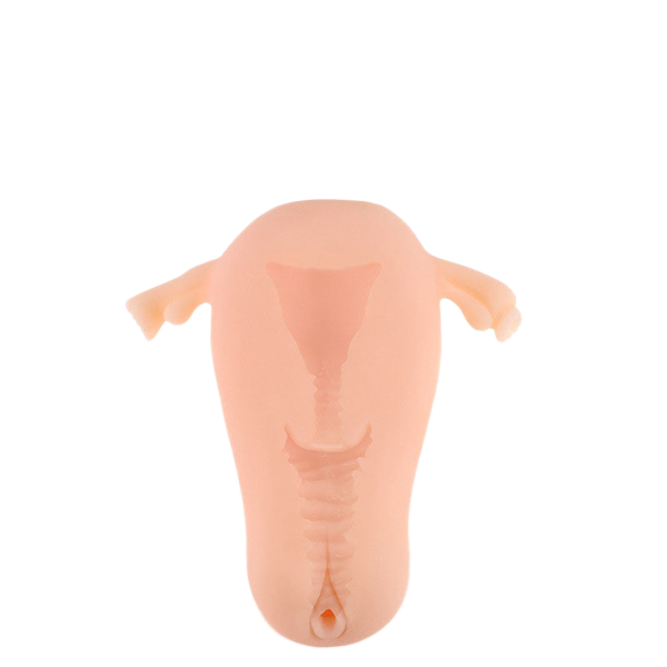  Sỉ Sextoy đồ chơi thủ dâm cho nam giống như âm đạo thật  hàng mới về 