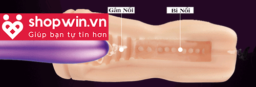 Âm đạo giả cốc Baile Vicky thiết kế tinh tế kín đáo như chiếc cốc thật
